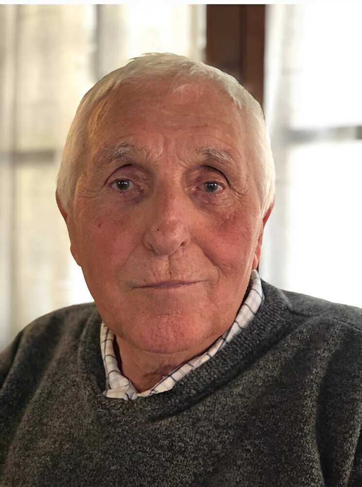 GIORGIO VERONESE
